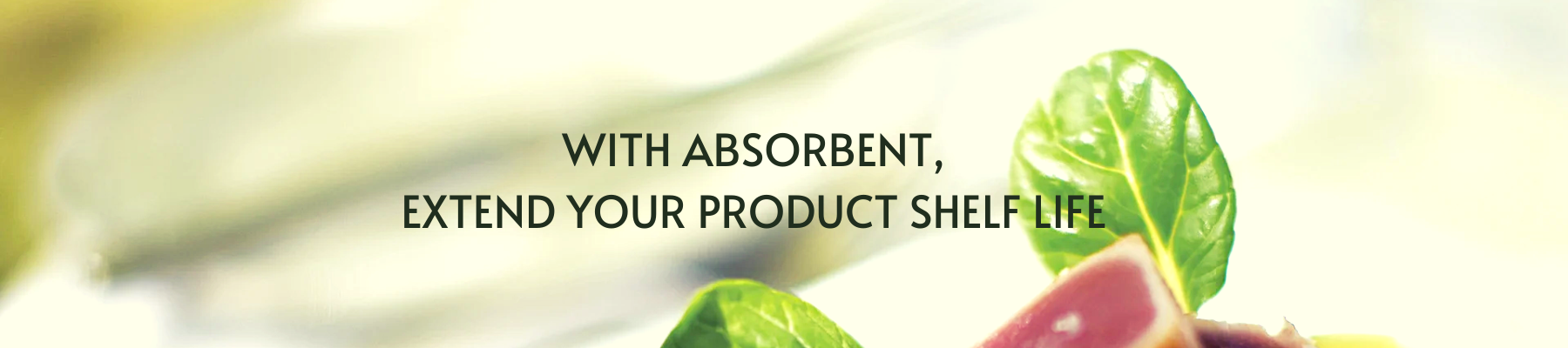 ABSORBENT